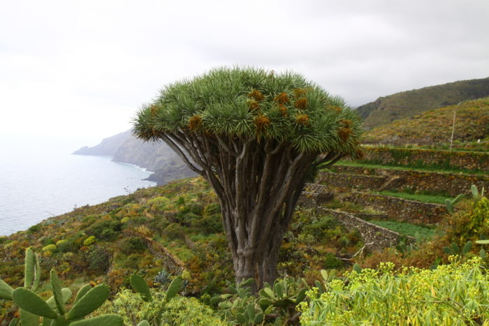 La Palma mniej znana kanaryjska wyspa