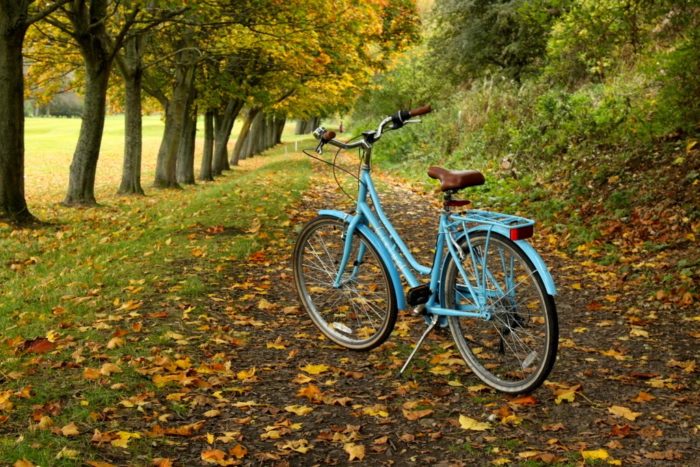 Jazda rowerem jesienią