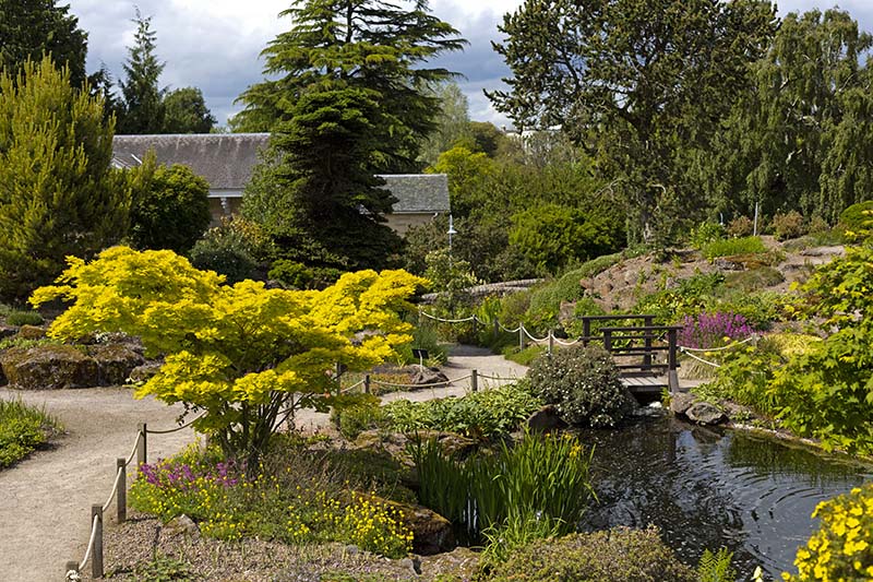 ogród botaniczny w Edynburgu