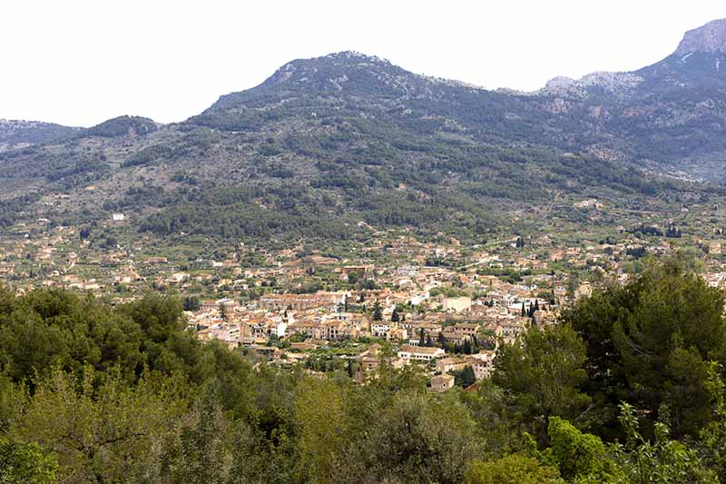 Majorka panorama