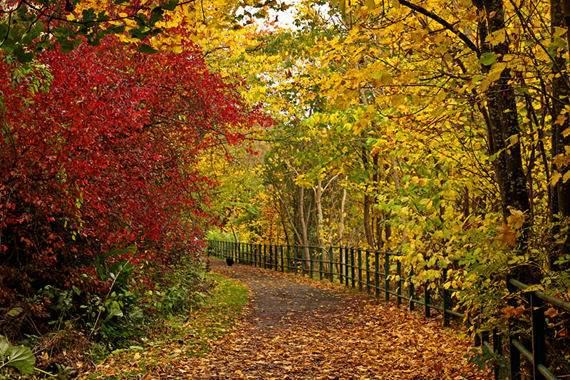 Jesienny spacer po Edynburgu