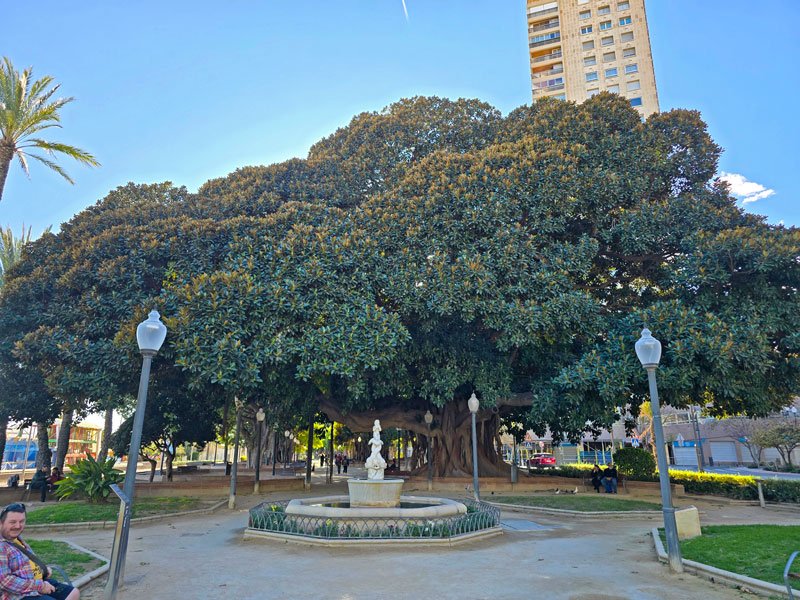 Alicante park